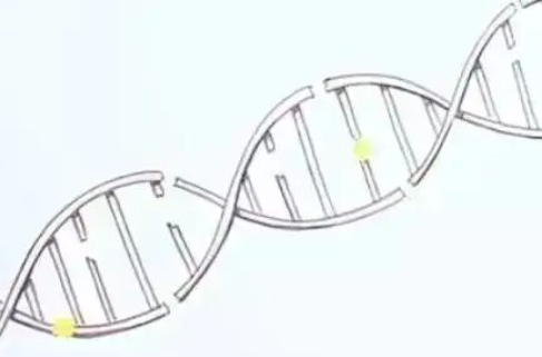 基因检测=科学算命？正确认识癌症的基因检测