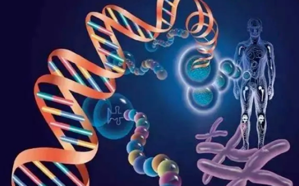 基因治疗如何帮助治愈癌症和其他疾病？