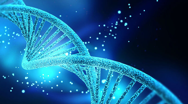 基因排查癌症 全身检查癌症的最好方法有什么