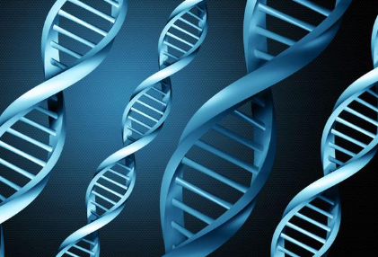 拒绝做“癌二代”从“遗传+易感”基因筛查开始