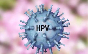HPV病毒是什么?可导致哪些疾病?