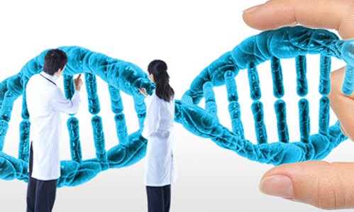 做DNA亲子鉴定需要准备些什么东西，麻烦吗