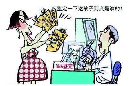 上海亲子鉴定需要多少钱的费用