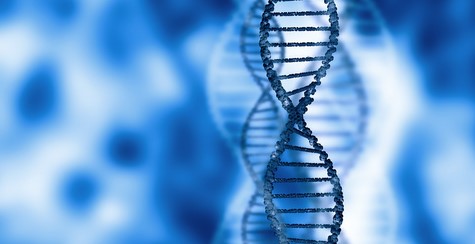 DNA亲子鉴定时应满足的道德要求有哪些