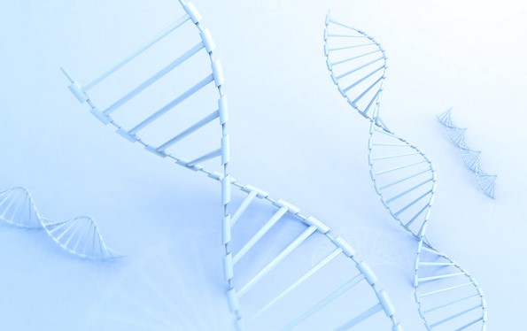 孩子没出生能做DNA鉴定亲子吗
