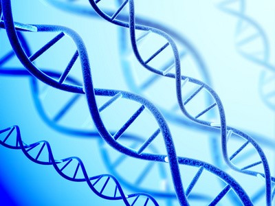 人类甲状腺癌16基因检测