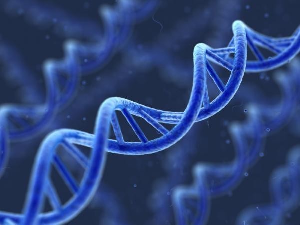 DNA鉴定需要办理什么手续，复杂吗