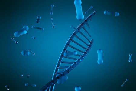 DNA亲子鉴定需要什么证明
