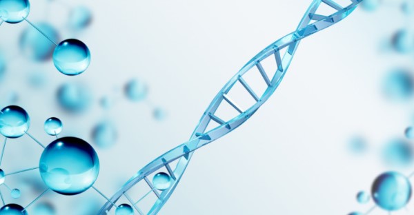 私下怎样做DNA鉴定了解亲子关系