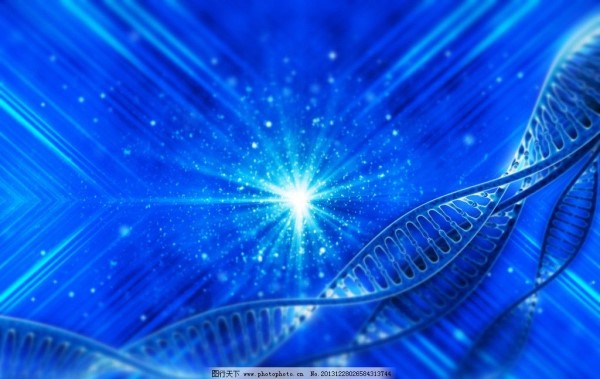 新疆做DNA亲子鉴定需要些什么