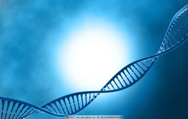 DNA亲子鉴定原理程序是什么,有什么依据吗