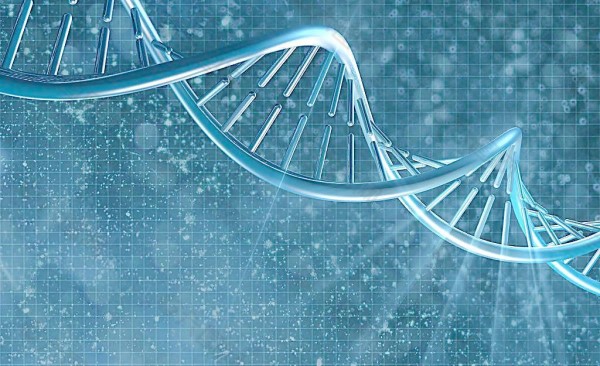 DNA亲子鉴定理论的发展史，它是如何演变来的