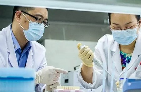 DNA鉴定利器!牙刷做DNA准确率如何，能否媲美血液样本?