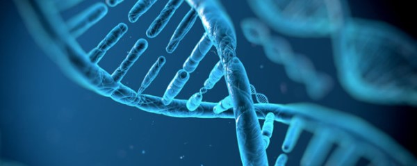 DNA鉴定亲子有几种方式可以做