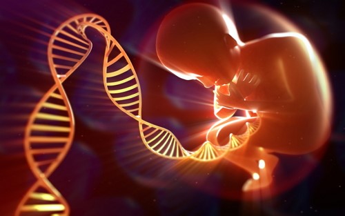 DNA亲子鉴定的准确率