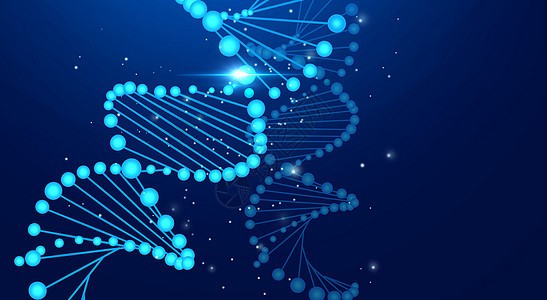 DNA鉴定的常用方法有哪些