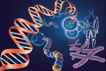 孩子和父亲做DNA是属于个人鉴定吗
